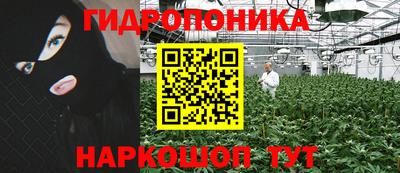прущие крисы Пыть-Ях