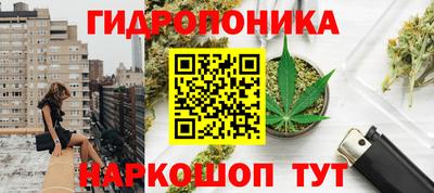 ГАЛЛЮЦИНОГЕННЫЕ ГРИБЫ Пушкино