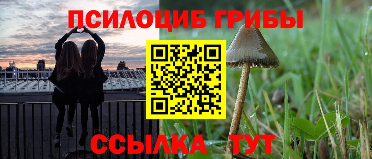 что такое наркотик  Псилоцибиновые грибы прущие грибы  Псилоцибиновые грибы прущие грибы  Вход с VPN  Приморско-Ахтарск 