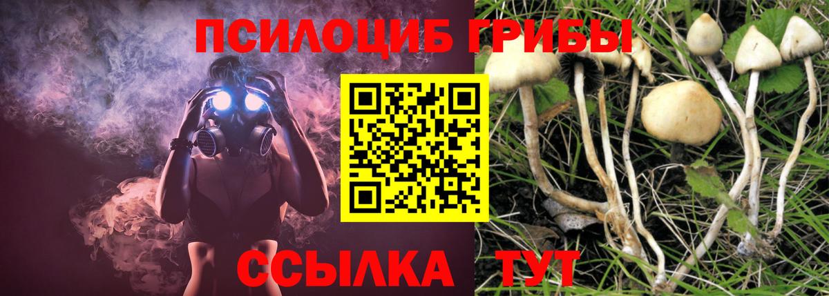 Псилоцибиновые грибы Magic Shrooms Приморско-Ахтарск